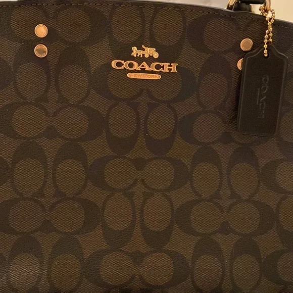 🔥Coach Lillie Carryall Bag - Picture 3 of 5